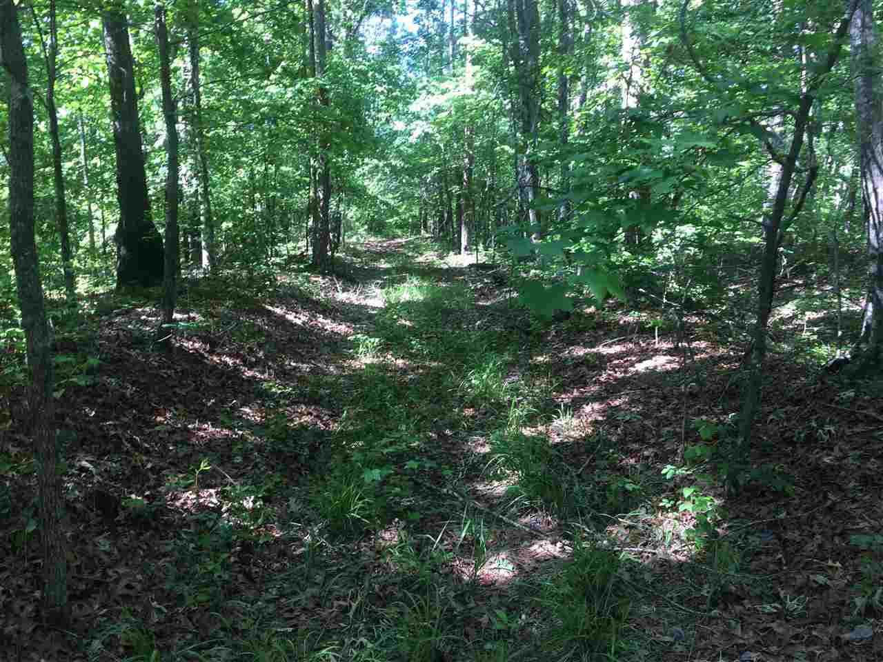 0 Ferguson Store Road Selmer, TN 38375 - Photo 6 of 12 Gallery Image 6