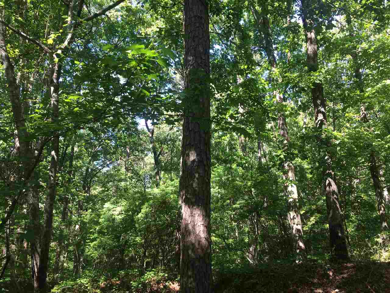 0 Ferguson Store Road Selmer, TN 38375 - Photo 7 of 12 Gallery Image 7