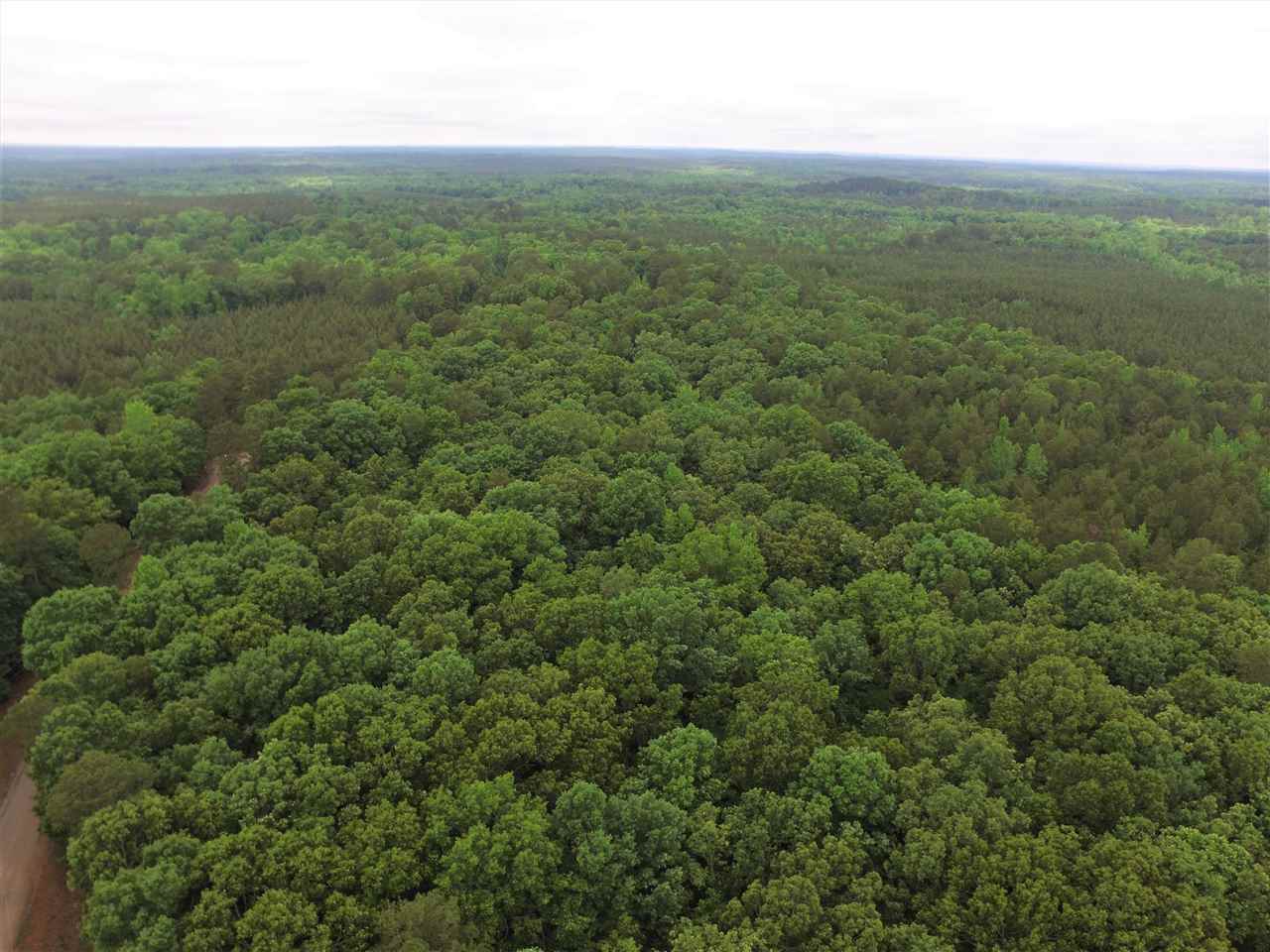 0 Ferguson Store Road Selmer, TN 38375 - Photo 10 of 12 Gallery Image 10