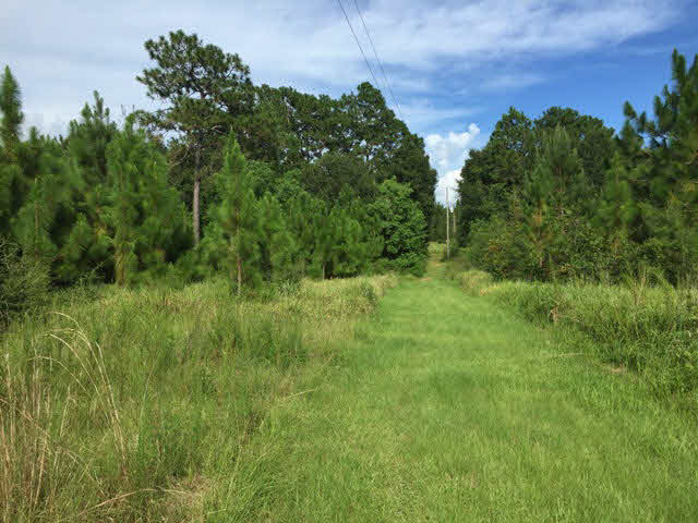 10245 Rte Road Lillian, AL 36549 - Photo 3 of 5