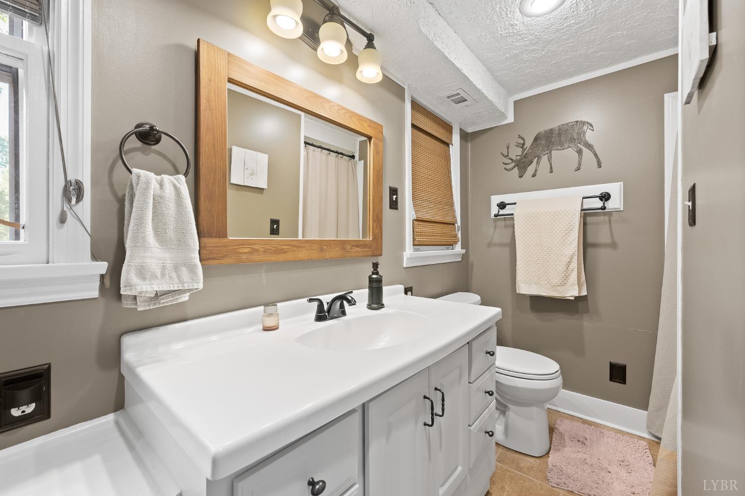 142 Whitehead Drive Amherst, VA 24521 - Photo 25 of 44 a bathroom with a toilet sink and mirror
