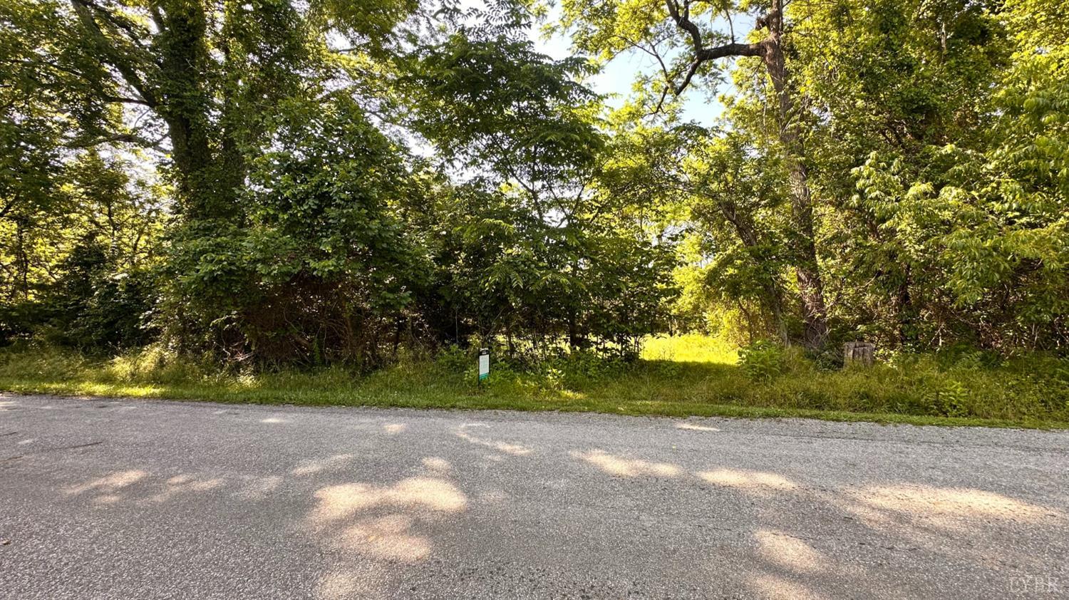 0 Goggin Ford Road Bedford, VA 24523 - Photo 7 of 25