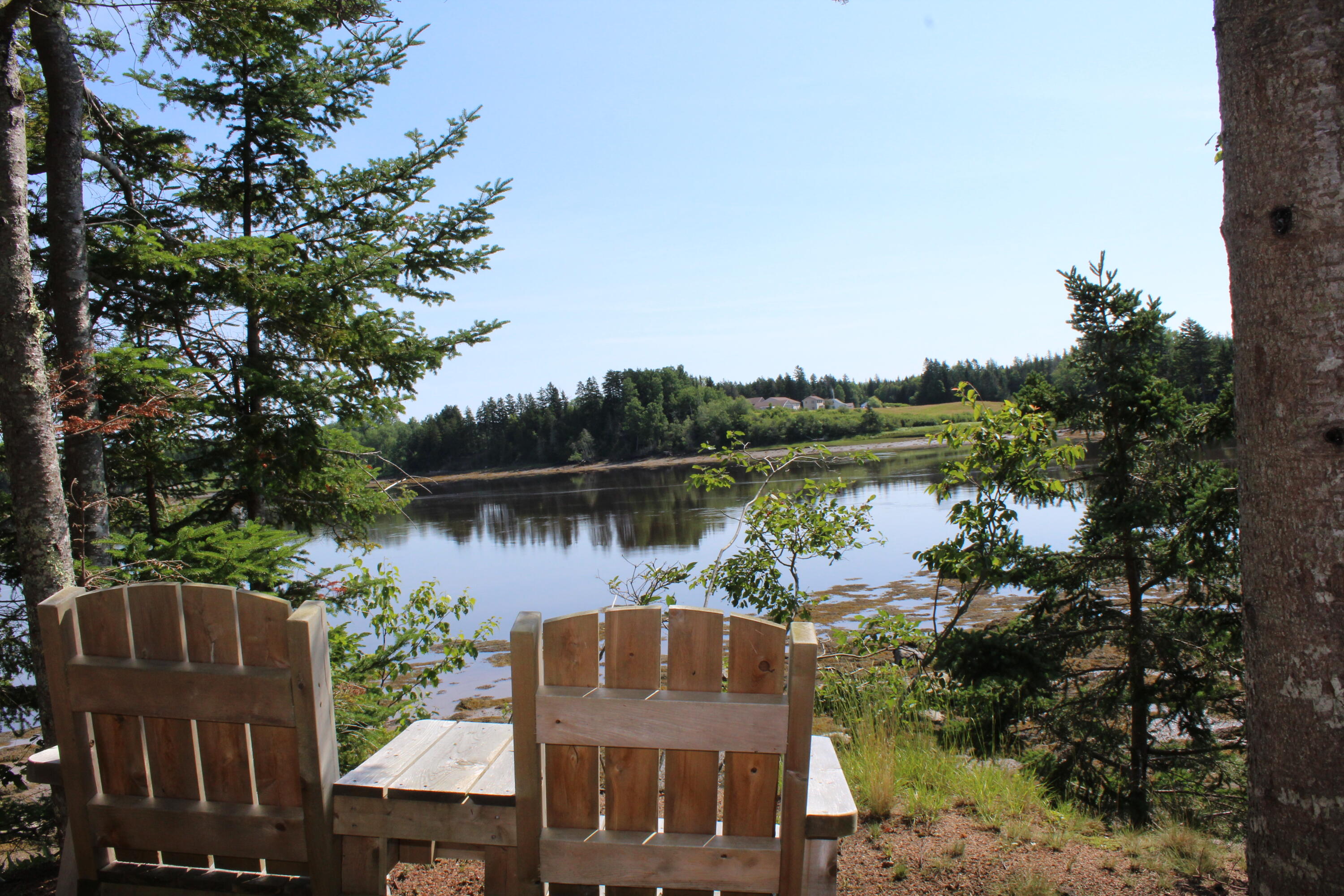 262 Looks Point Road Jonesboro, ME 04648 - Photo 16 of 118 IMG_5608
