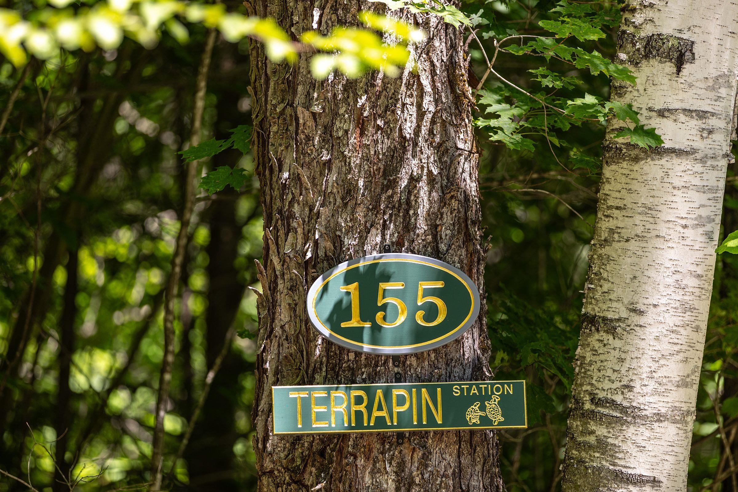 155 Pratt Bridge Road Jamaica, VT 05343 - Photo 1 of 55