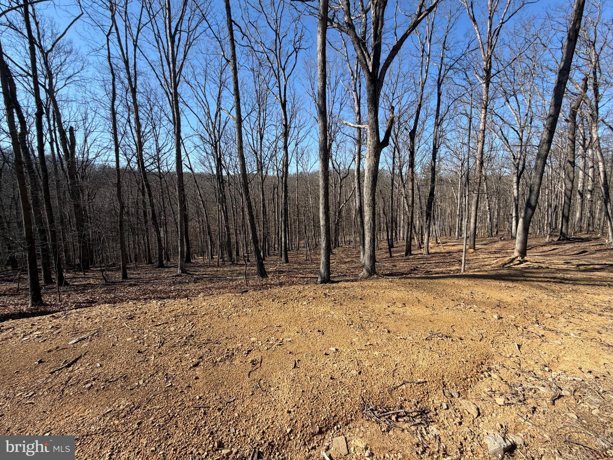 Goldsborough Road Springfield, WV 26763 - Photo 5 of 18