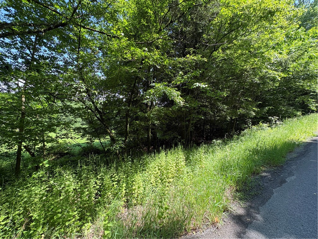 Stage Road South Otselic, NY 13155 - Photo 8 of 29