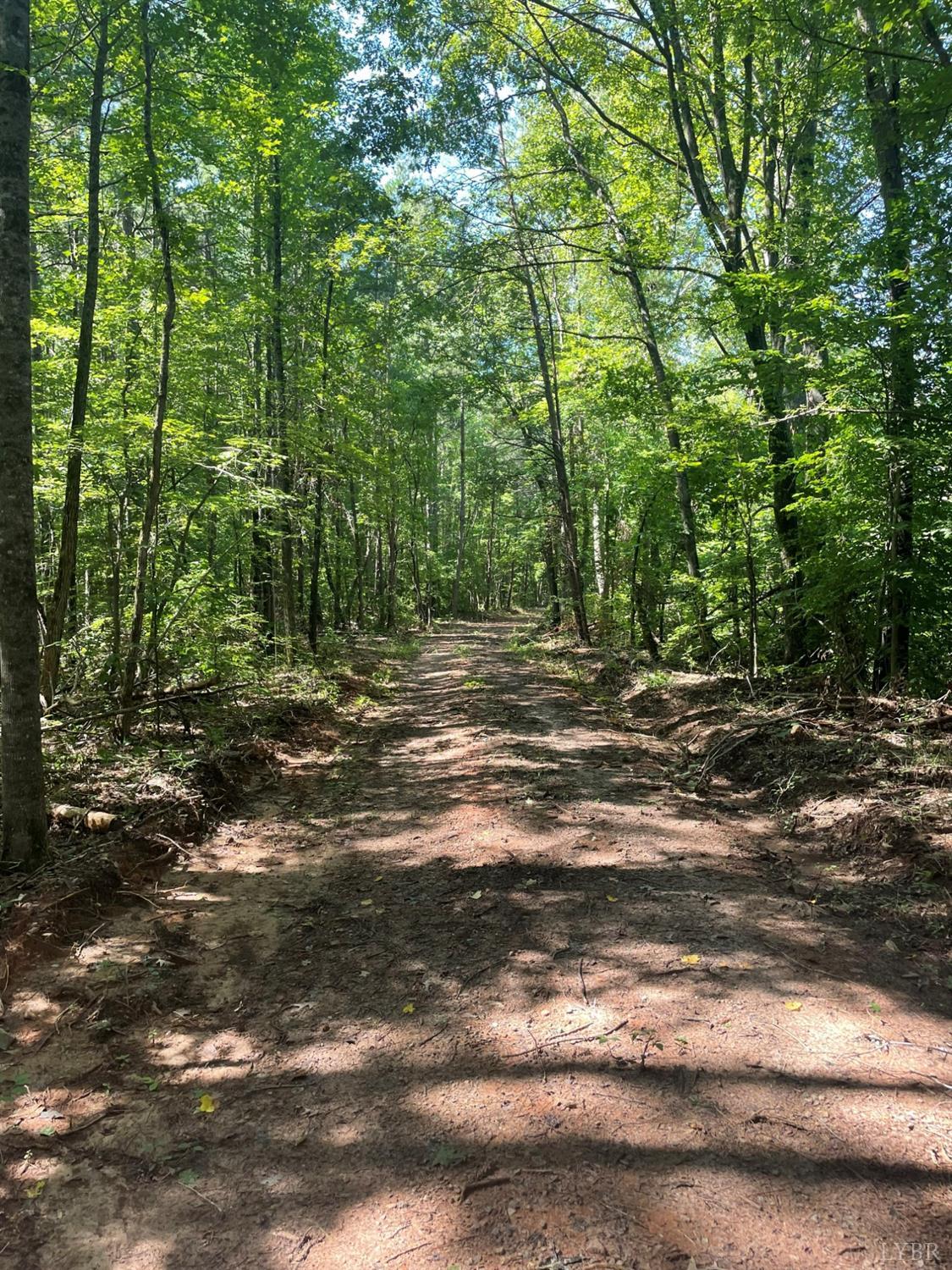 0 Reverend Coleman Road Clover, VA 24534 - Photo 1 of 17 a view of a yard with plants and large trees