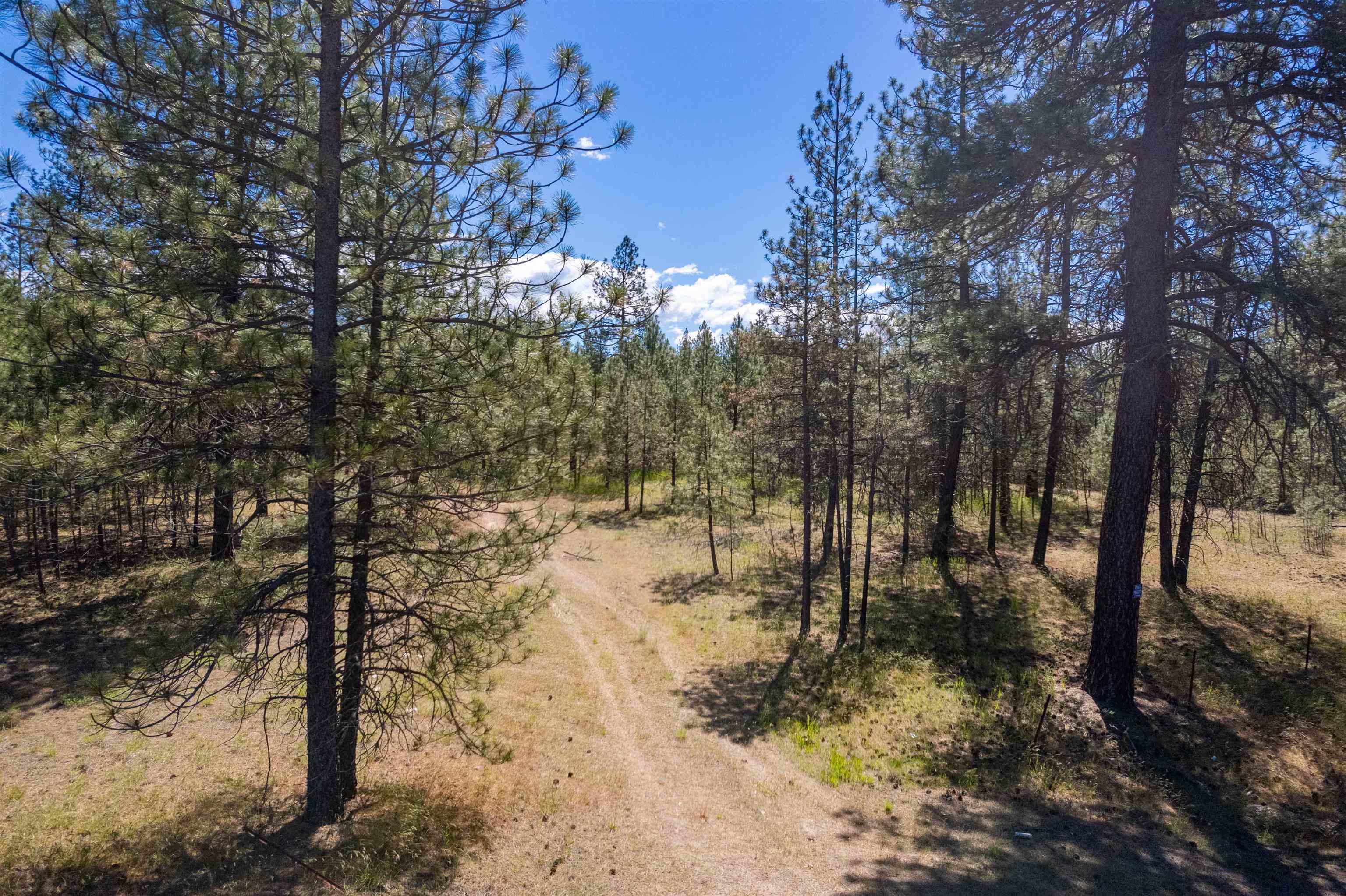 29-xxx North Hardesty Road Chattaroy, WA 99003 - Photo 10 of 40