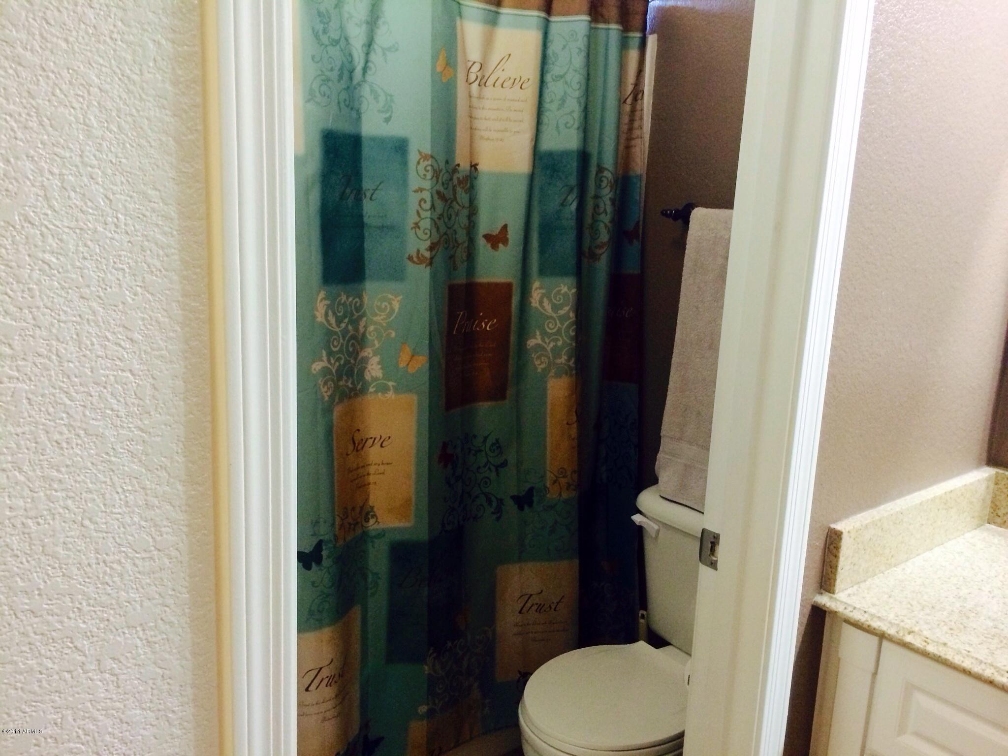 12730 West Redfield Road El Mirage, AZ 85335 - Photo 14 of 24 Master Bath View 2 Tub and Shower Combo