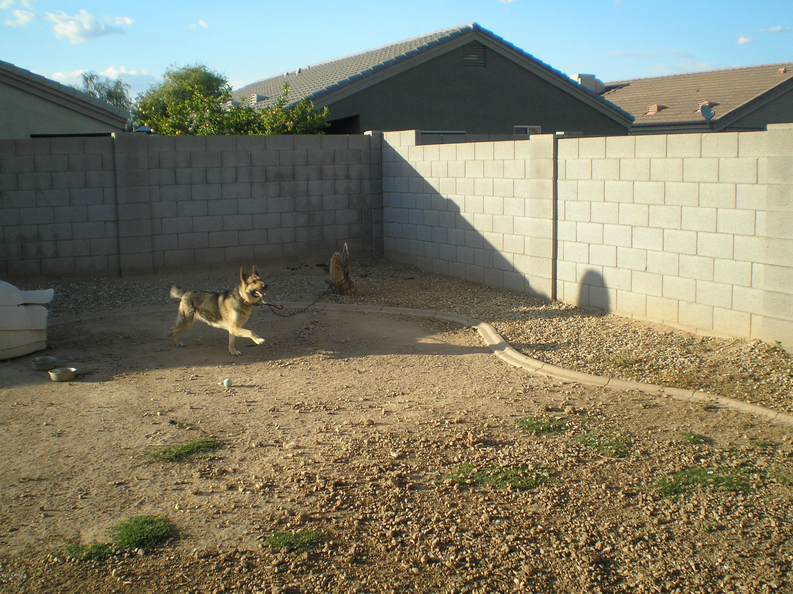 12730 West Redfield Road El Mirage, AZ 85335 - Photo 23 of 24 View 2 of Backyard showing Block fence
