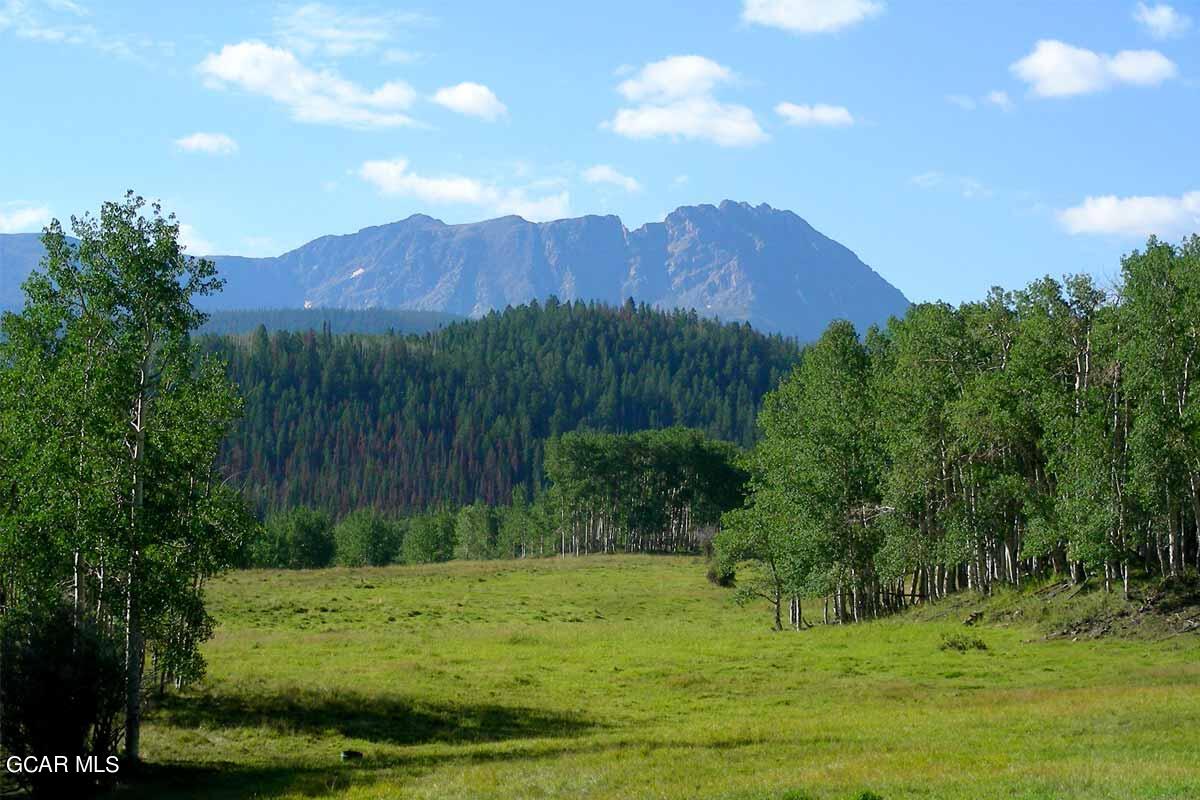 341 Corral Trail Silverthorne, CO 80498 - Photo 16 of 19 a view of a back yard