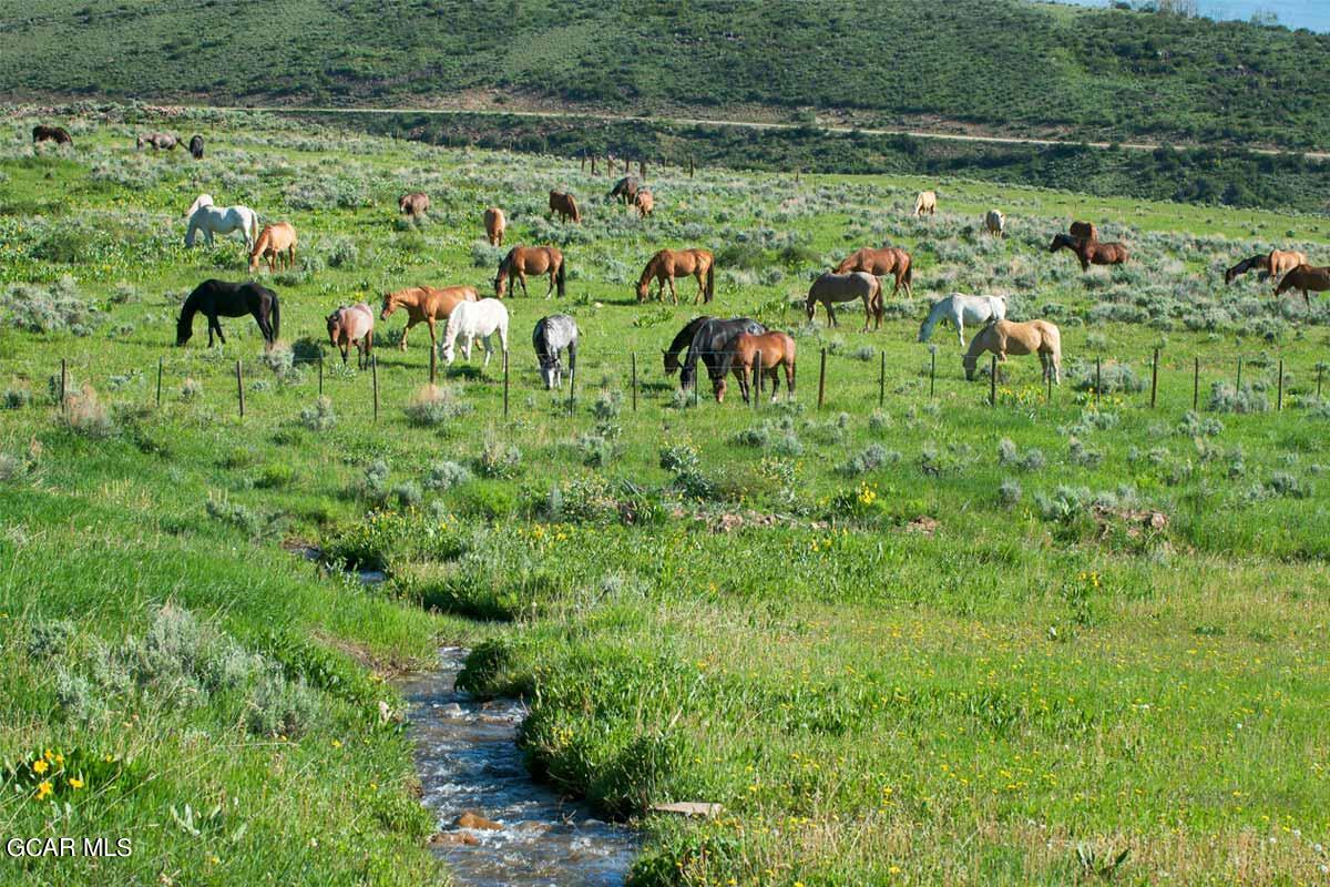 341 Corral Trail Silverthorne, CO 80498 - Photo 18 of 19 a view of a park with lots of trees