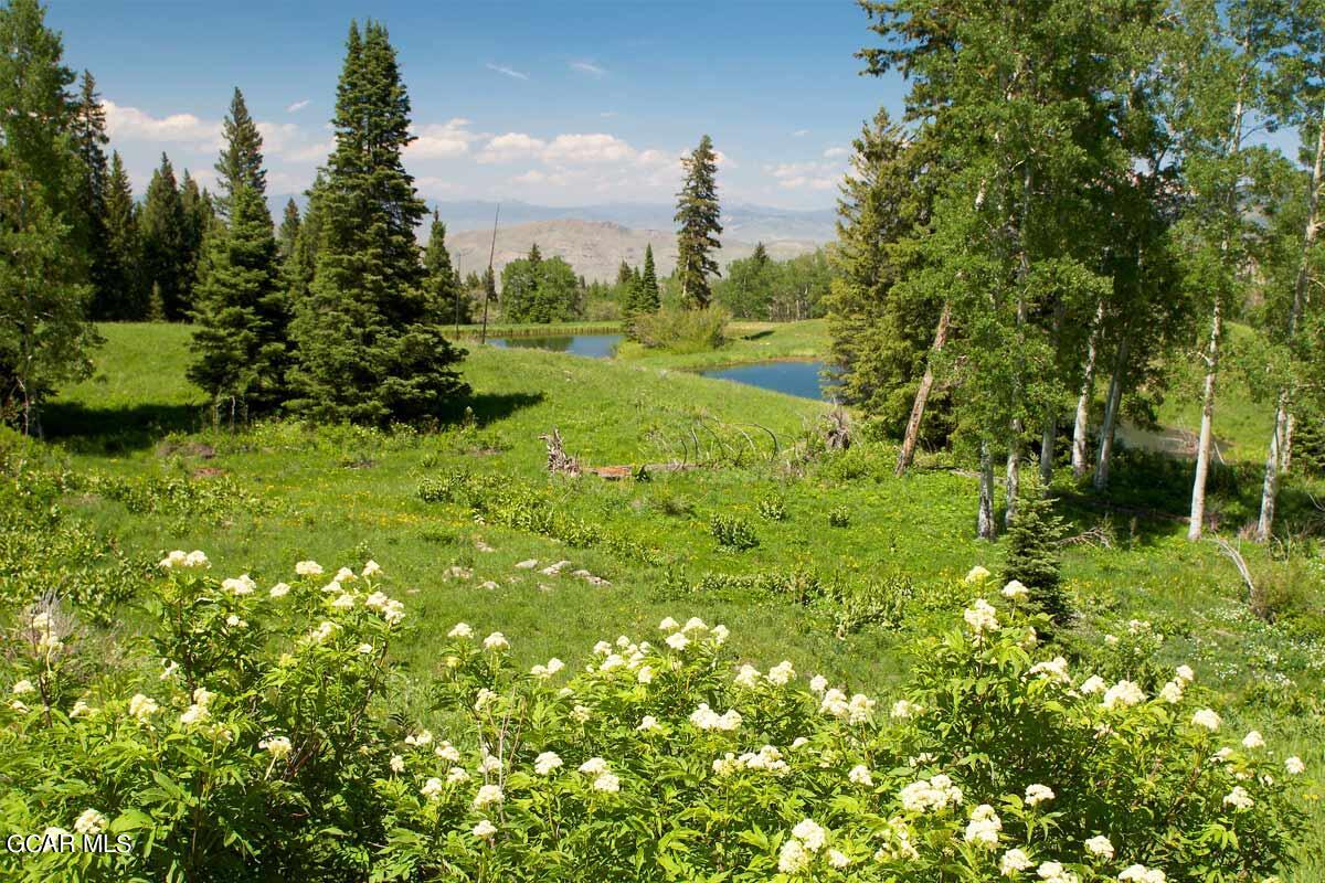 341 Corral Trail Silverthorne, CO 80498 - Photo 19 of 19 a lush green forest with lots of trees