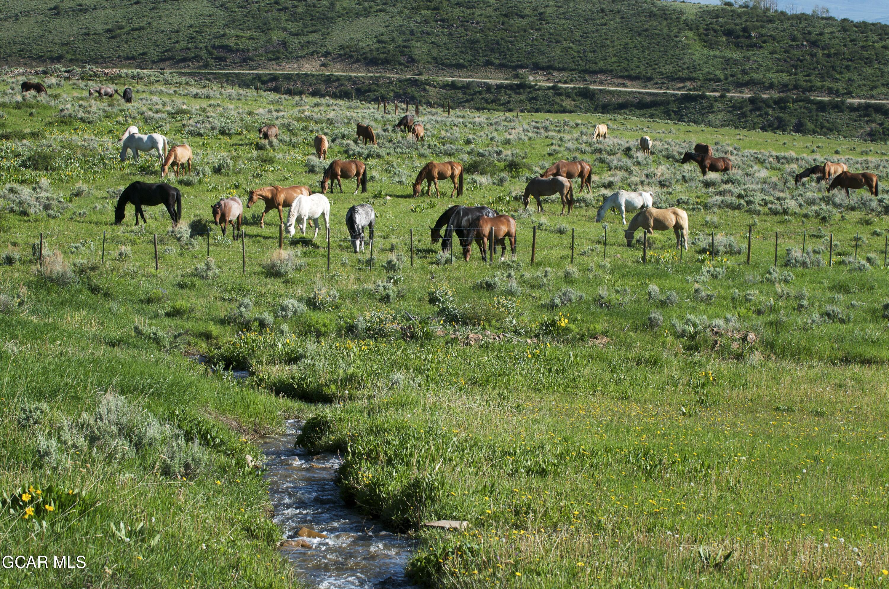 341 Corral Trail Silverthorne, CO 80498 - Photo 3 of 19 a view of a green field with plants