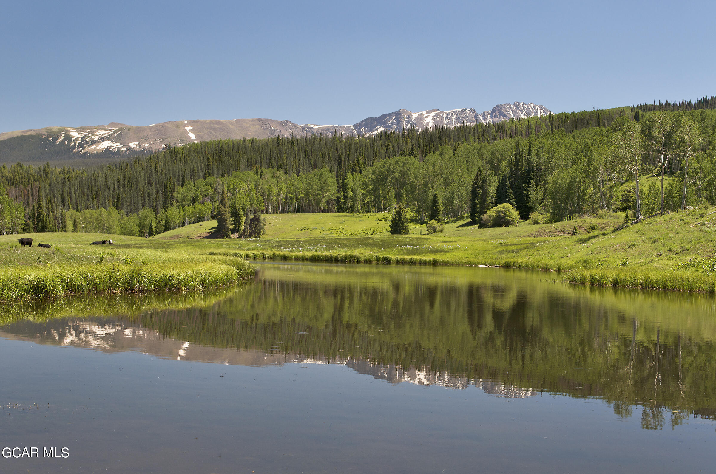 341 Corral Trail Silverthorne, CO 80498 - Photo 5 of 19 a view of a lake with a mountain
