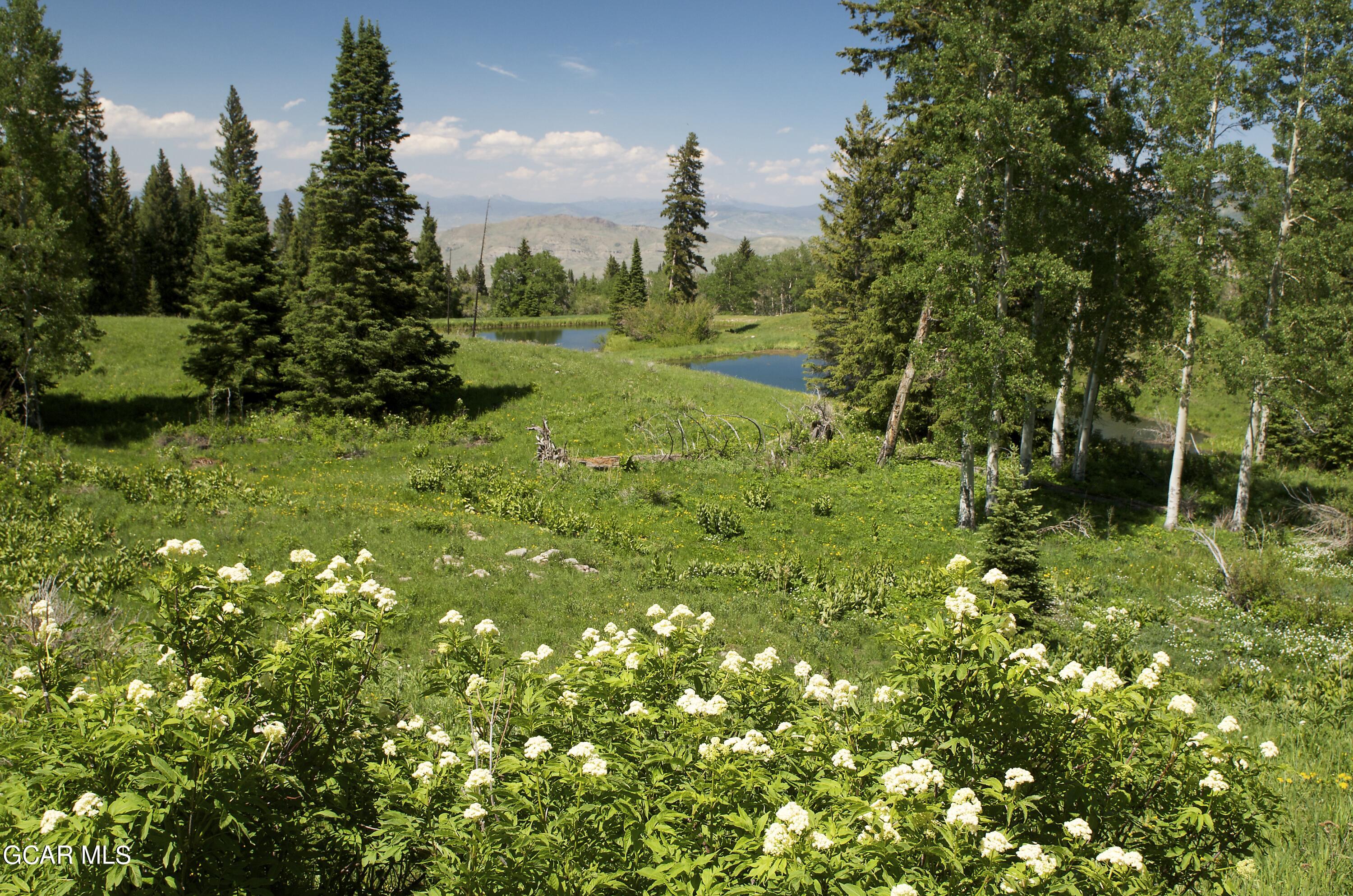 341 Corral Trail Silverthorne, CO 80498 - Photo 9 of 19 a view of a green field with lots of bushes