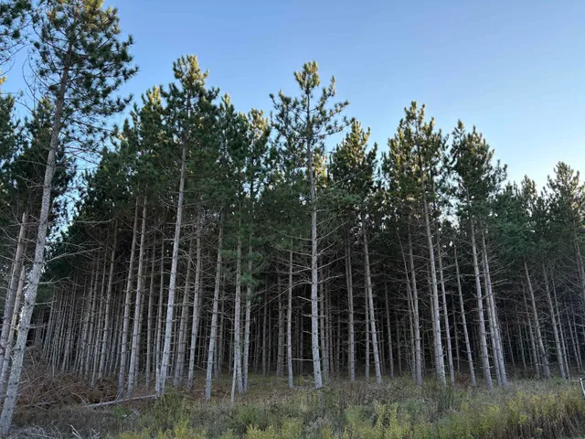 $45,000 | Lot 4 Plantation, Pelican Lake, WI 54463