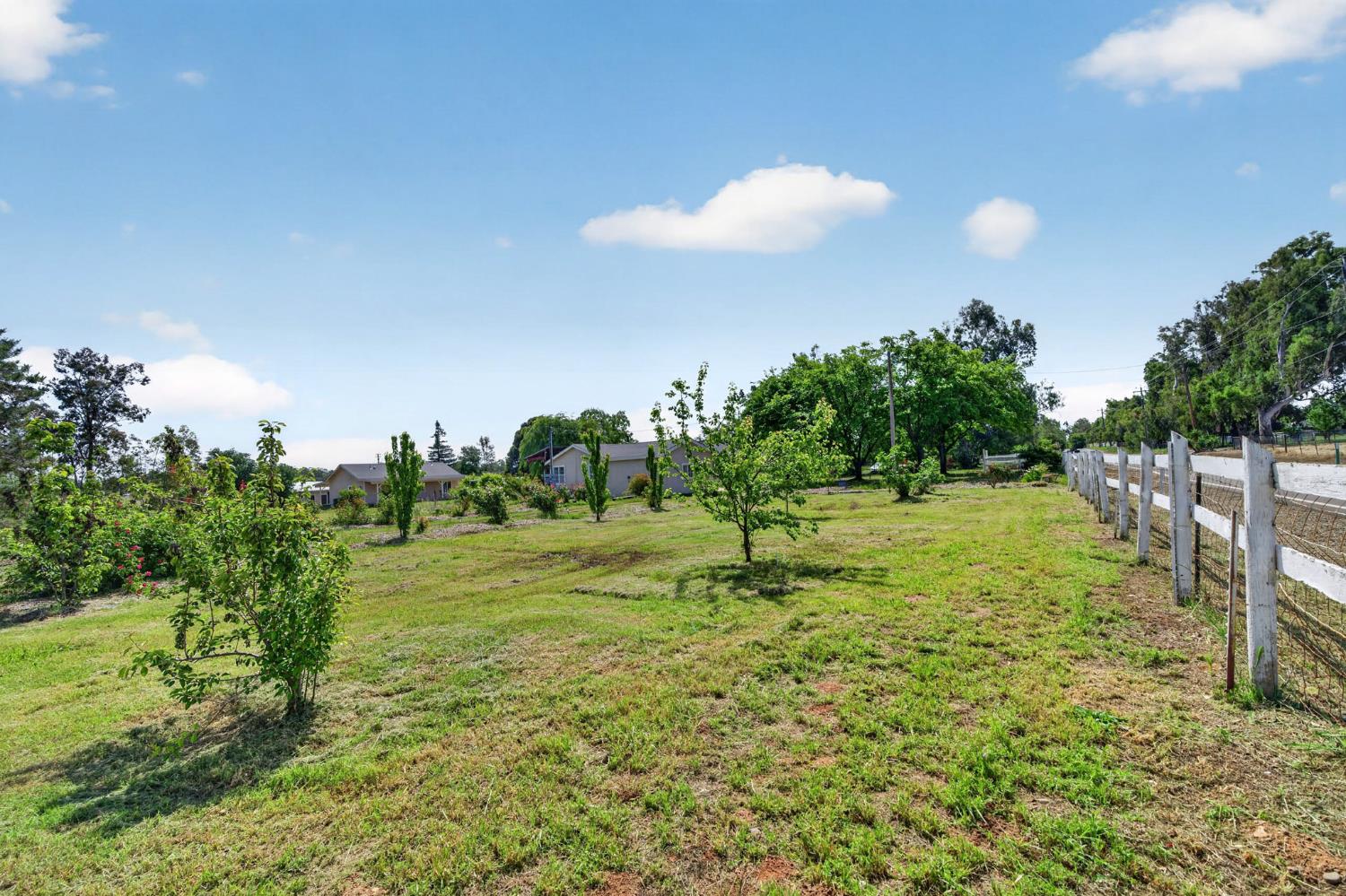 11861 Clay Station Road Herald, CA 95638 - Photo 4 of 56