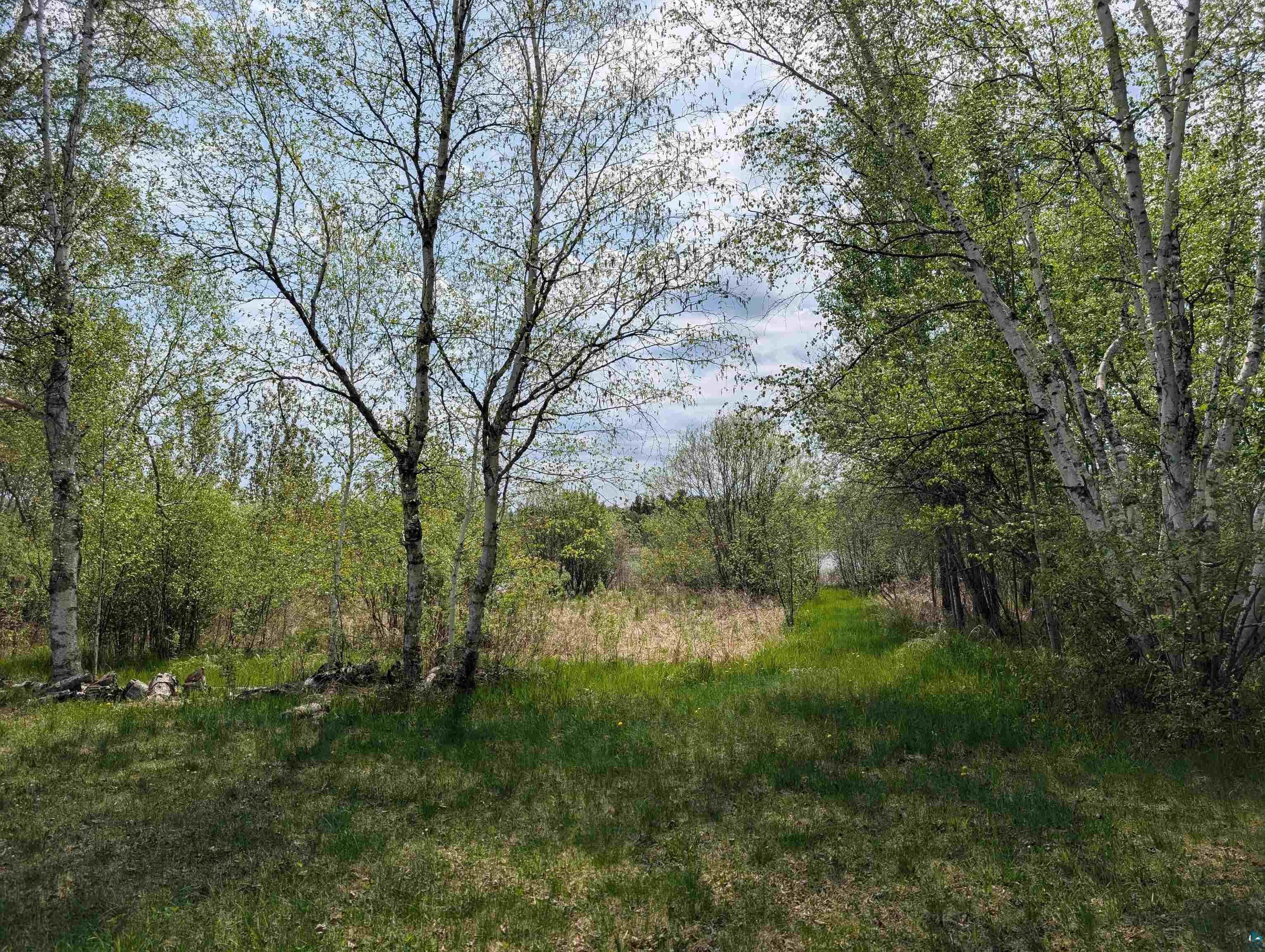 9086 Green Road Hibbing, MN 55746 - Photo 29 of 31