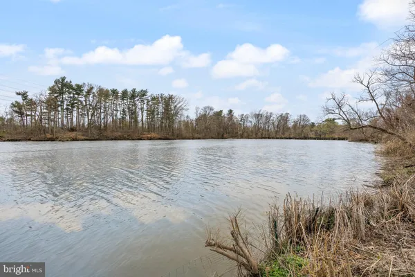 a view of lake