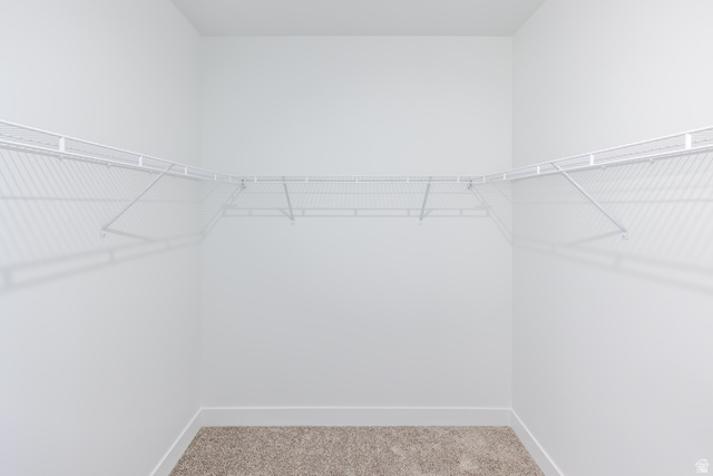 4727 South 690th West, Unit W301 Mapleton, UT 84664 - Photo 8 of 16 Built-in wire shelving system, light neutral wall color, and carpeted flooring