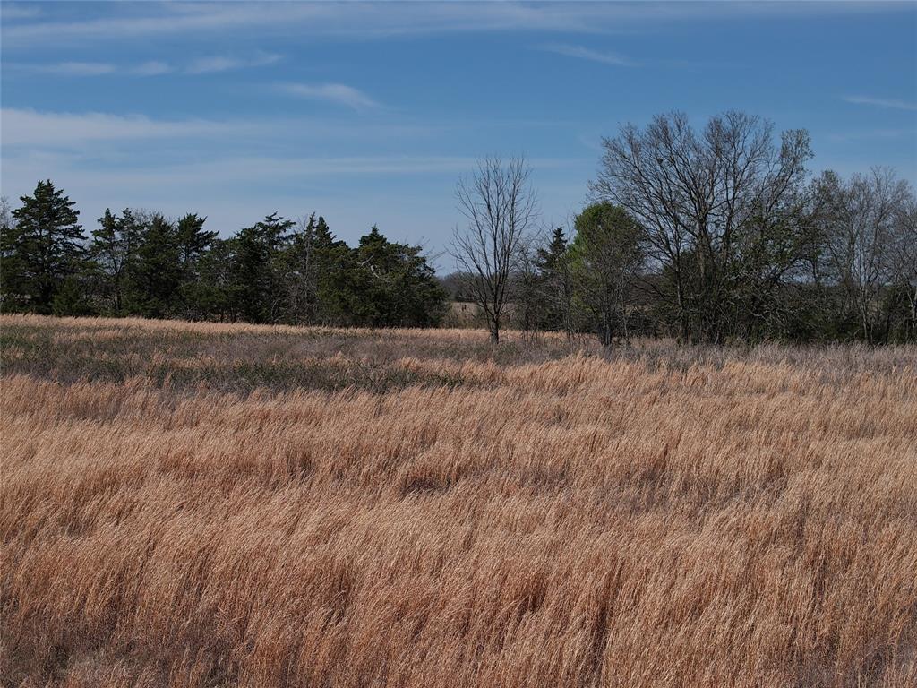 1220 C R 1220 Deport, TX 75435 - Photo 13 of 30 a view of dirt field with trees in background