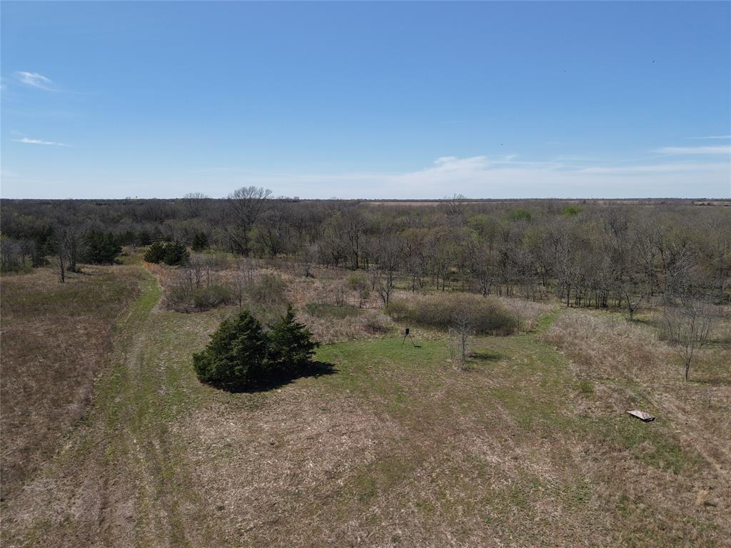 1220 C R 1220 Deport, TX 75435 - Photo 18 of 30 a view of a dry yard with green space