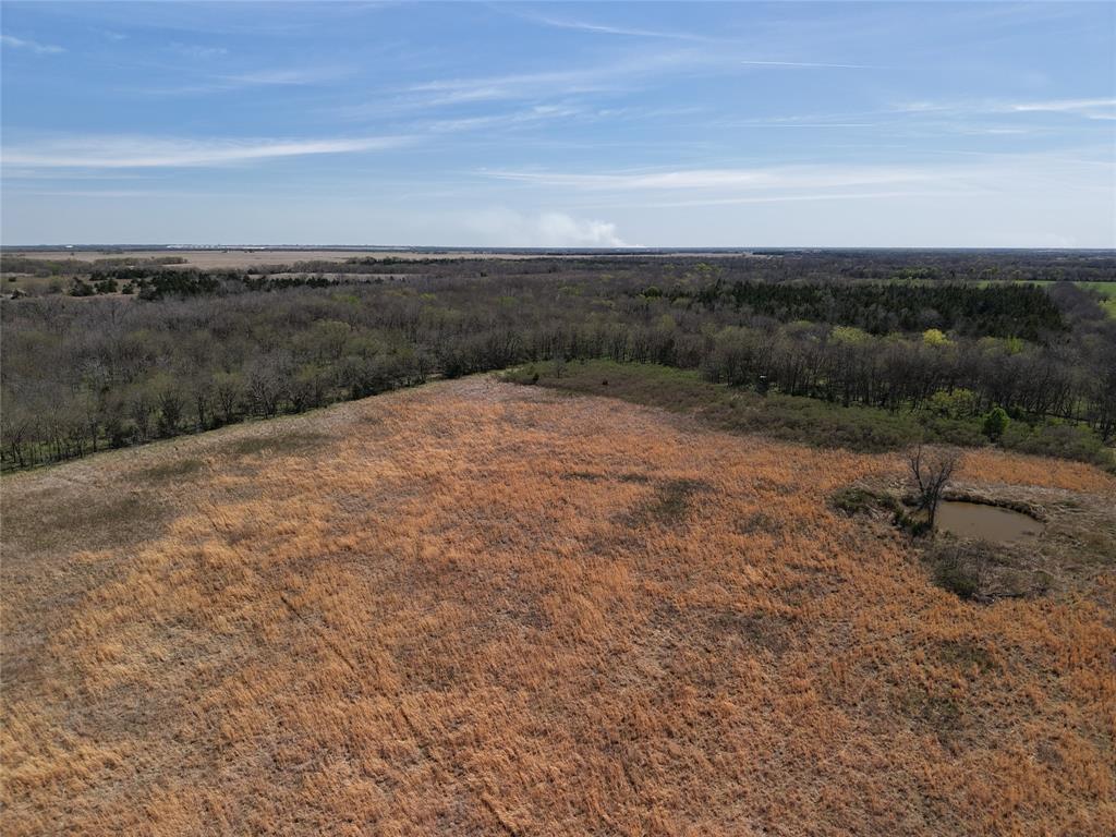 1220 C R 1220 Deport, TX 75435 - Photo 19 of 30 a view of a dry yard with wooden fence
