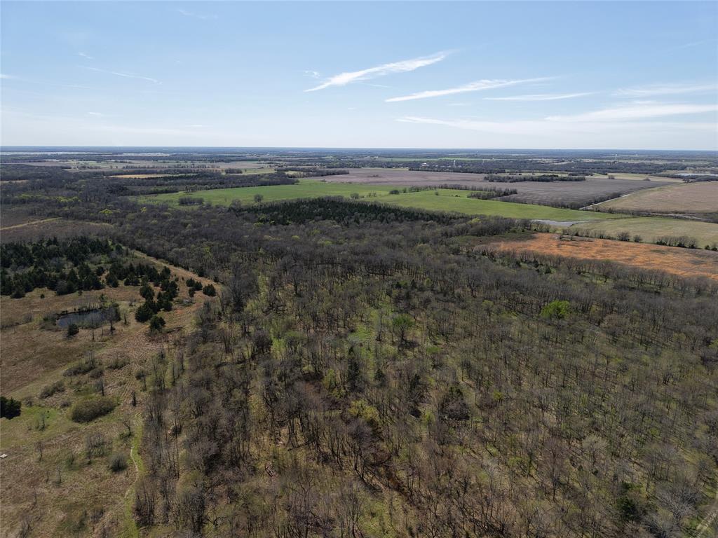 1220 C R 1220 Deport, TX 75435 - Photo 20 of 30 View of rural area
