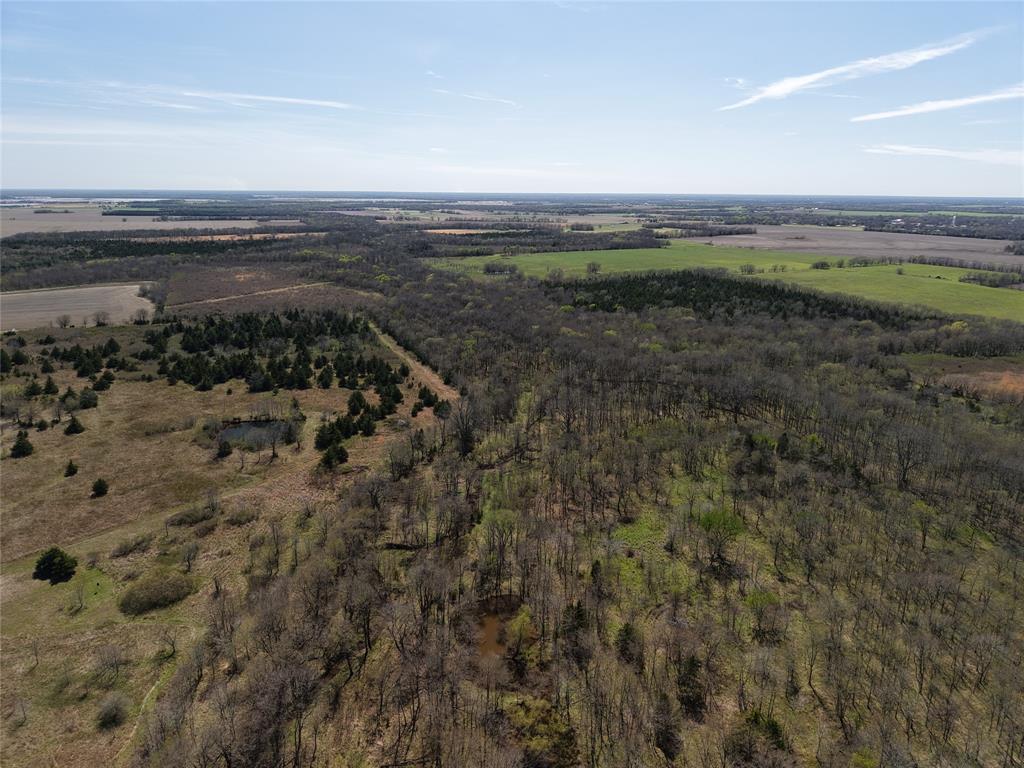 1220 C R 1220 Deport, TX 75435 - Photo 21 of 30 a view of a field with an ocean