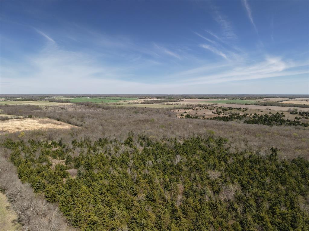 1220 C R 1220 Deport, TX 75435 - Photo 25 of 30 an aerial view of ocean and trees