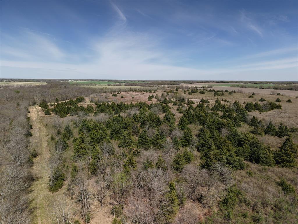 1220 C R 1220 Deport, TX 75435 - Photo 27 of 30 an aerial view of a forest