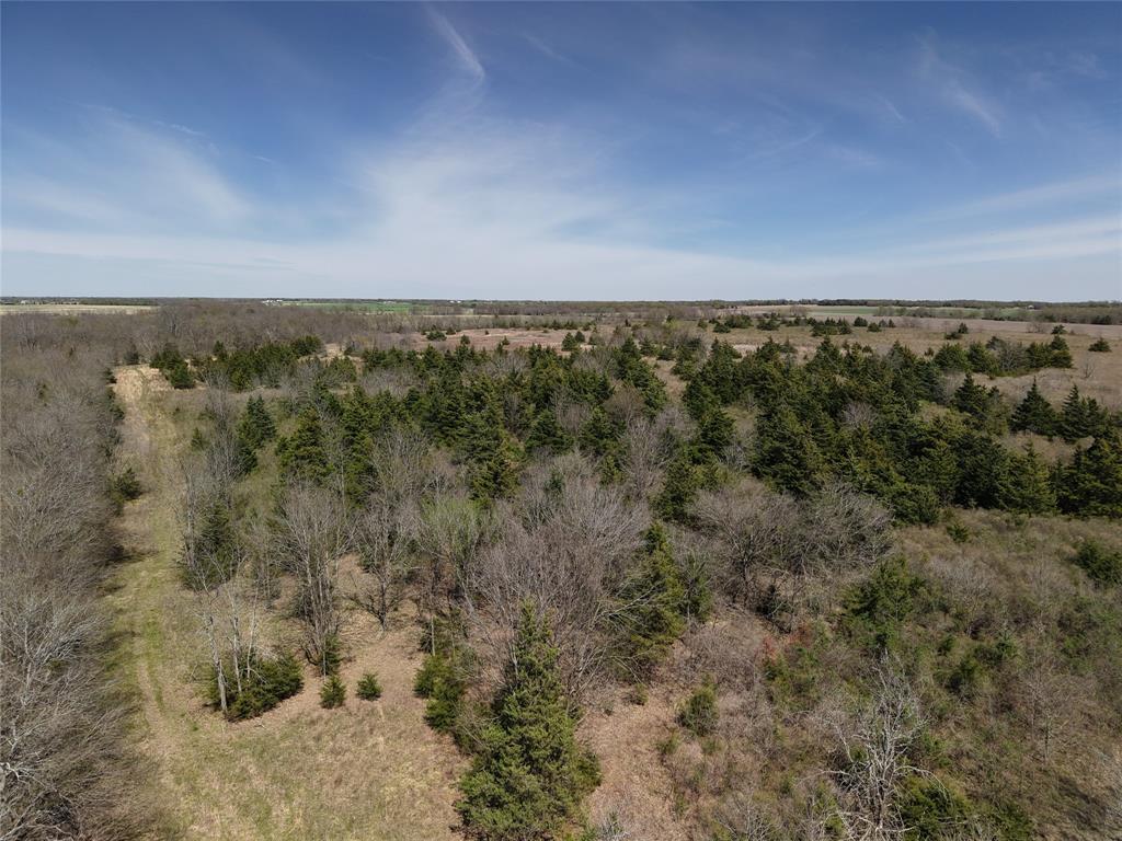 1220 C R 1220 Deport, TX 75435 - Photo 28 of 30 a view of a city with lush green forest