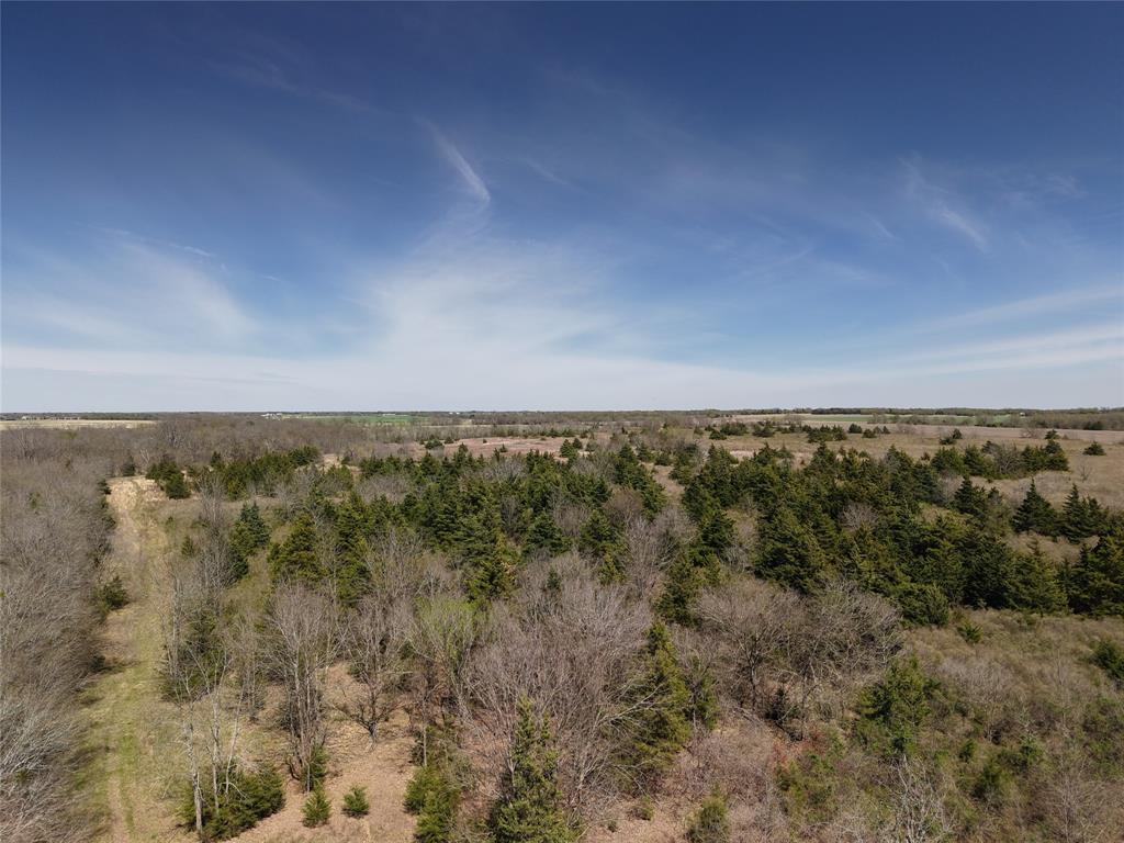 1220 C R 1220 Deport, TX 75435 - Photo 29 of 30 a view of a green field