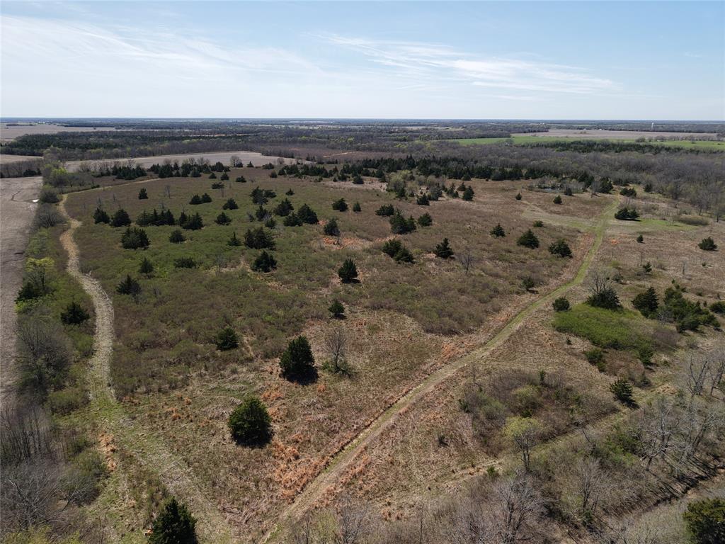 1220 C R 1220 Deport, TX 75435 - Photo 6 of 30 Overview of rural landscape