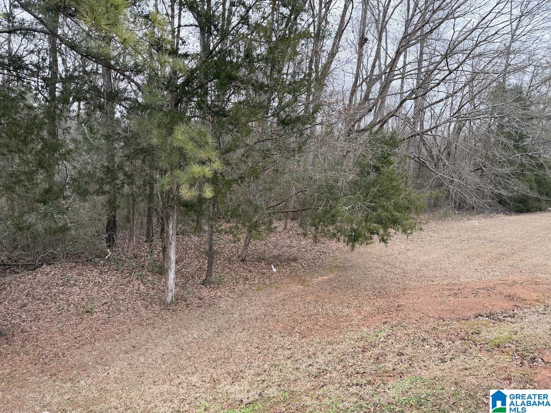 433 Angel Station Road Jacksonville, AL 36265 - Photo 15 of 20