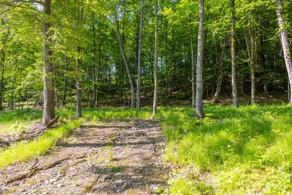 $159,000 | Lot 11 Greenwood Lane, Sunapee, NH 03782