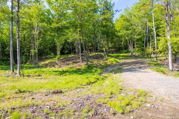 $159,000 | Lot 11 Greenwood Lane, Sunapee, NH 03782