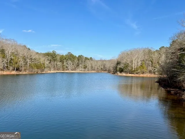a view of a lake with a mountain