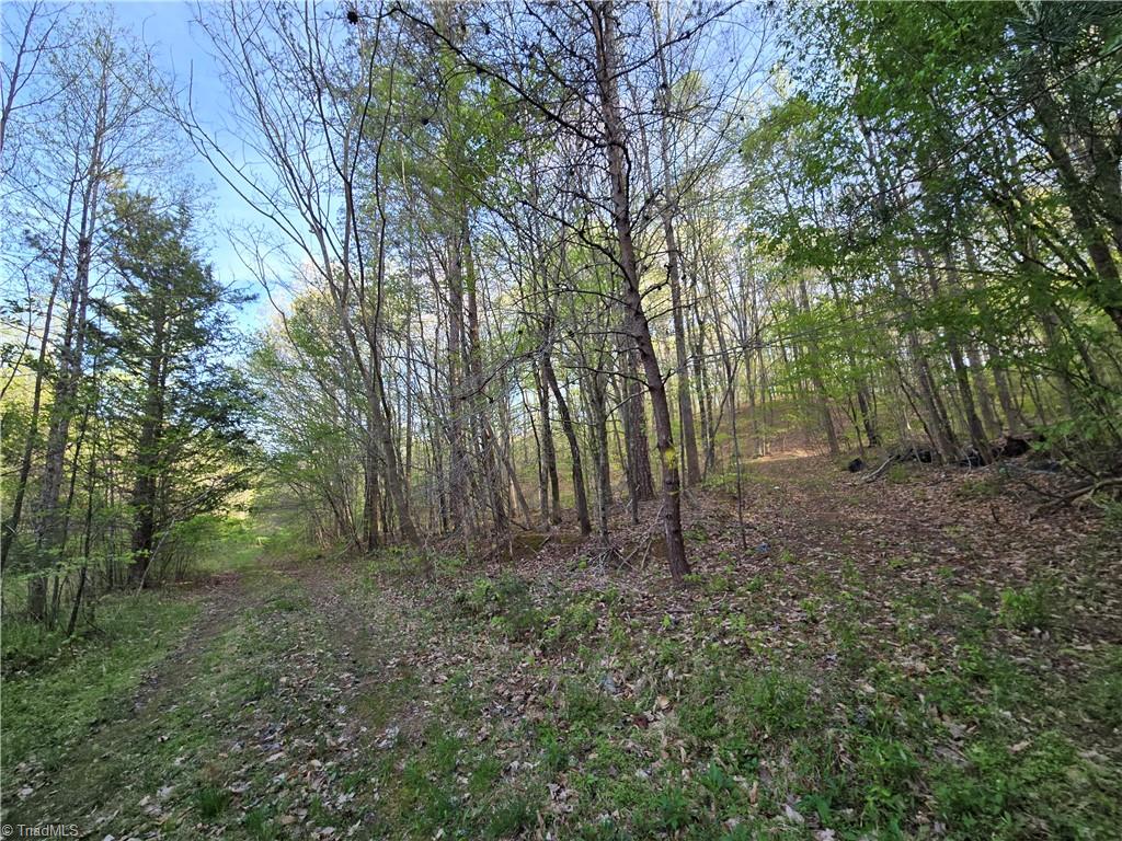 0 Hoover Hill Road Asheboro, NC 27205 - Photo 14 of 29