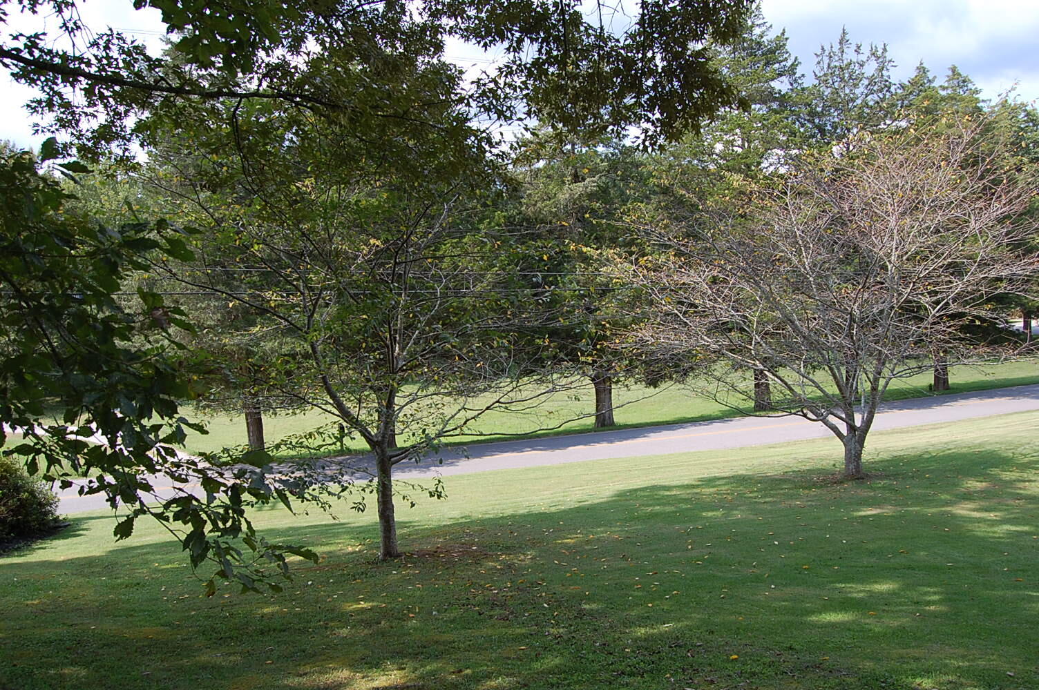 7310 East Valley Road Dunlap, TN 37327 - Photo 8 of 47 1339806 - 7310 E Valley Rd 008