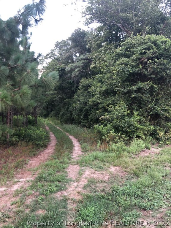 0 Wagram Road Wagram, NC 28396 - Photo 17 of 19 Gallery Image 17