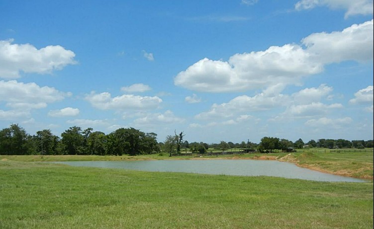 27185 Muckelroy Road Hempstead, TX 77445 - Photo 3 of 49