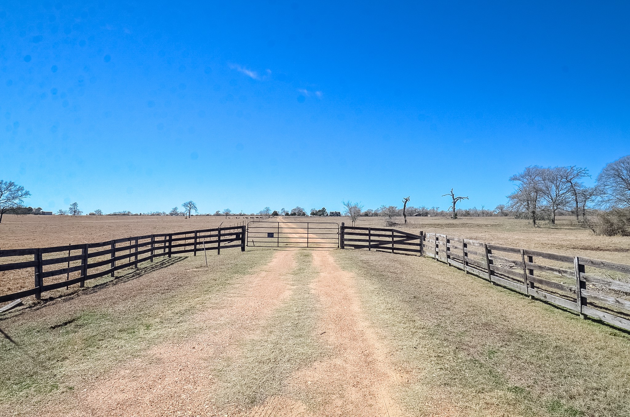 27185 Muckelroy Road Hempstead, TX 77445 - Photo 34 of 48