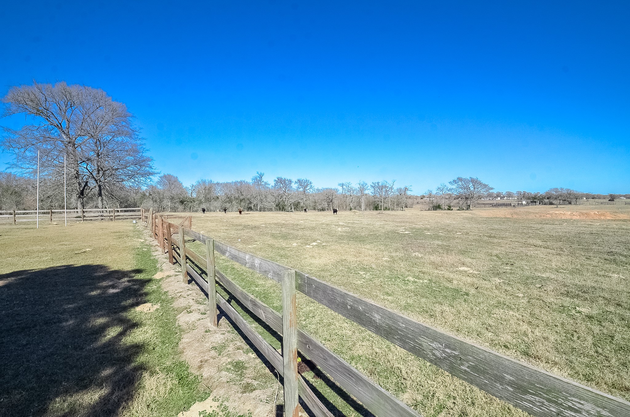 27185 Muckelroy Road Hempstead, TX 77445 - Photo 35 of 48