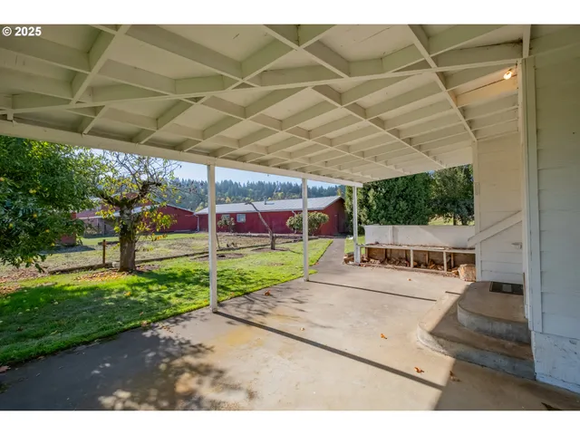 a view of a yard in front of a house with a large tree