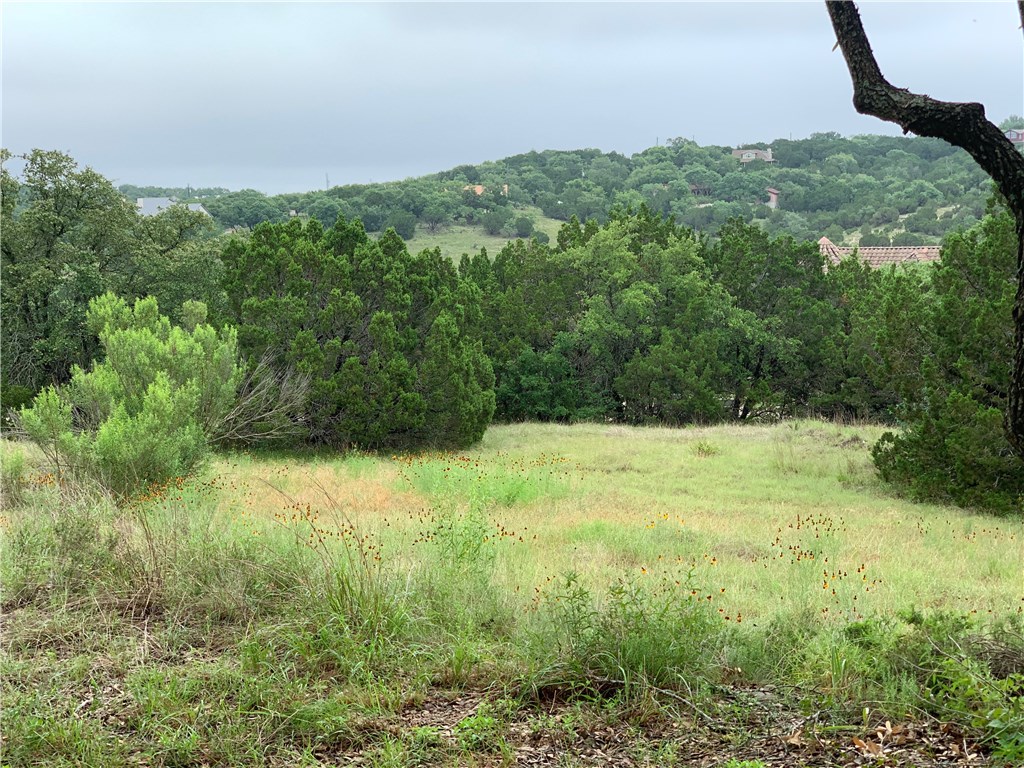 13944 Lone Rider Trail Austin, TX 78738 - Photo 1 of 1 Gallery Image 1