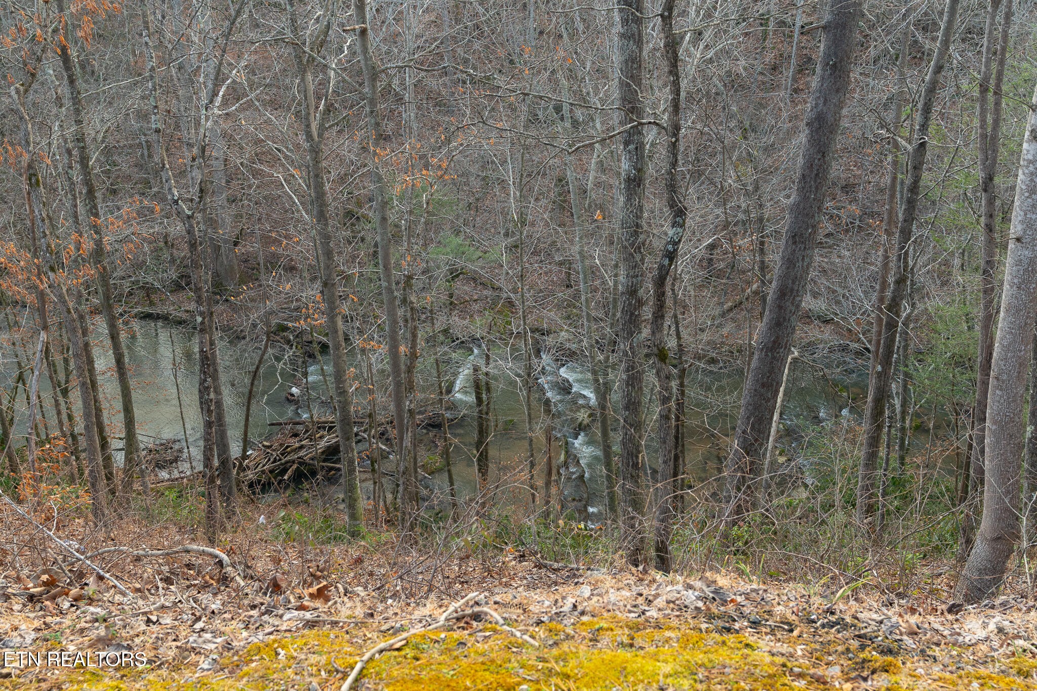3318 Covered Bridge Way Sevierville, TN 37862 - Photo 42 of 49