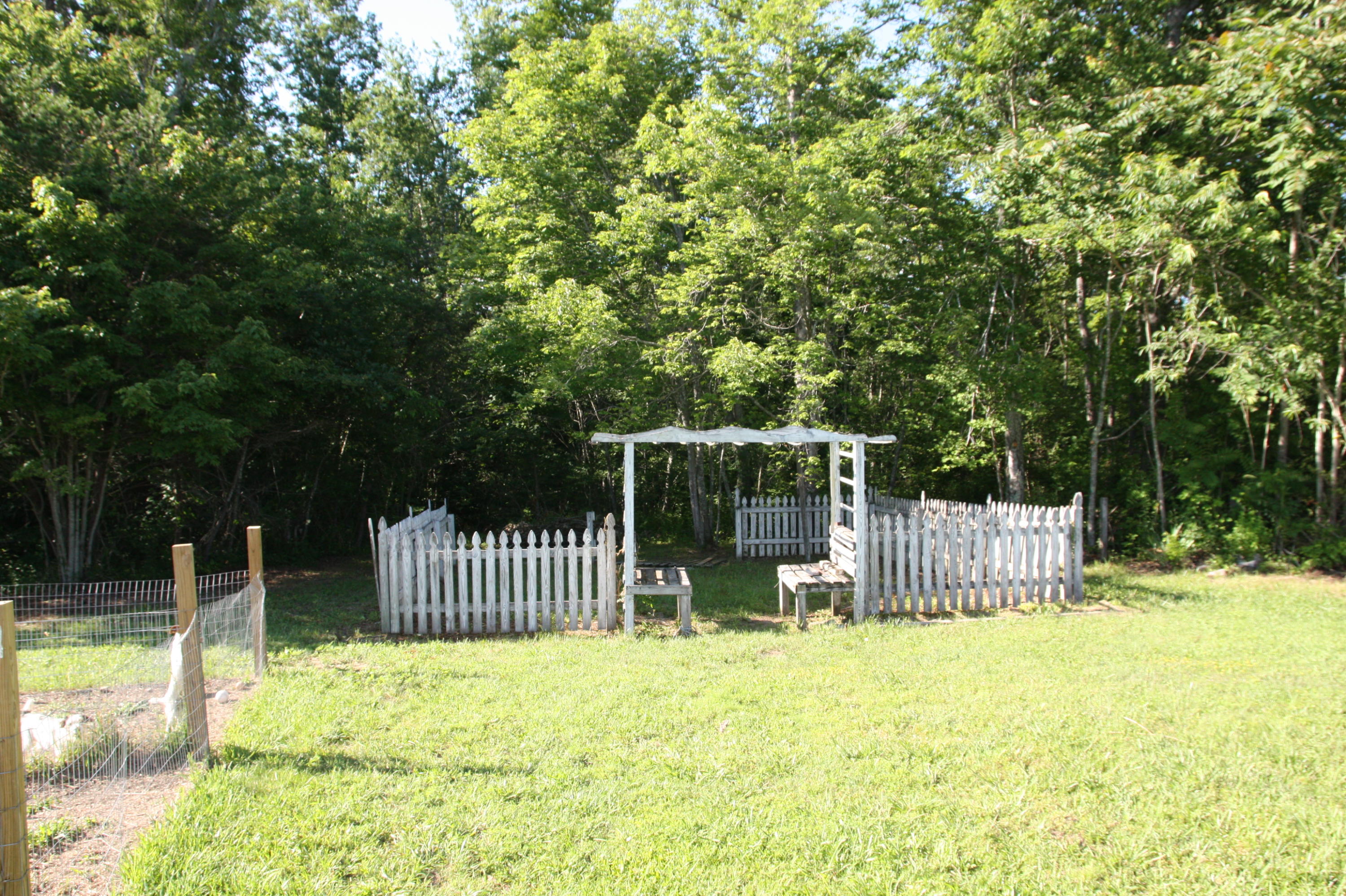 4261 Standing Rock Road Jamestown, TN 38556 - Photo 29 of 40 IMG_8675