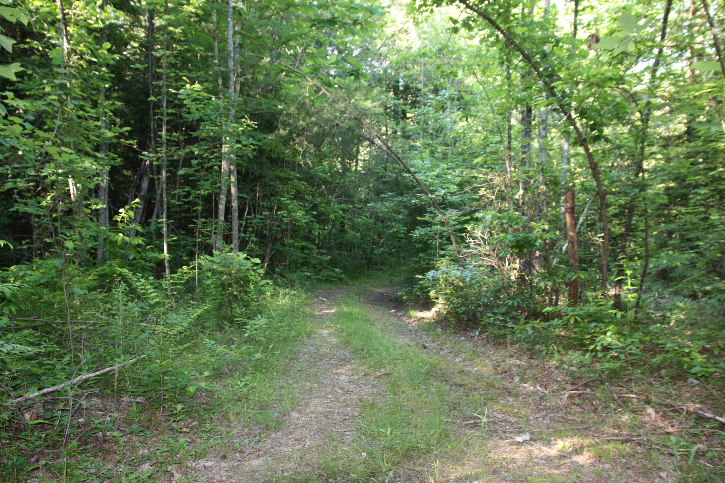 4261 Standing Rock Road Jamestown, TN 38556 - Photo 33 of 40 IMG_8672